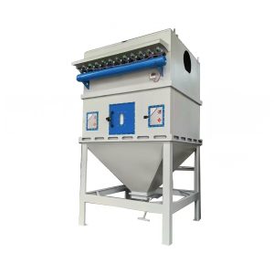 Bag-type filter dust removal room